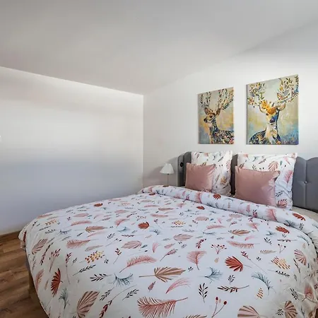 Apartment Loft, Free And Secure Parking Reims