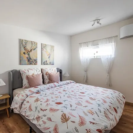 Apartment Loft, Free And Secure Parking Reims